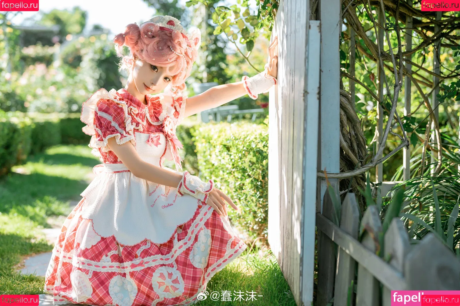 Chunmomo / chunmomo0127 / chunmomo_ / 蠢沫沫momo Onlyfans Photo Gallery 