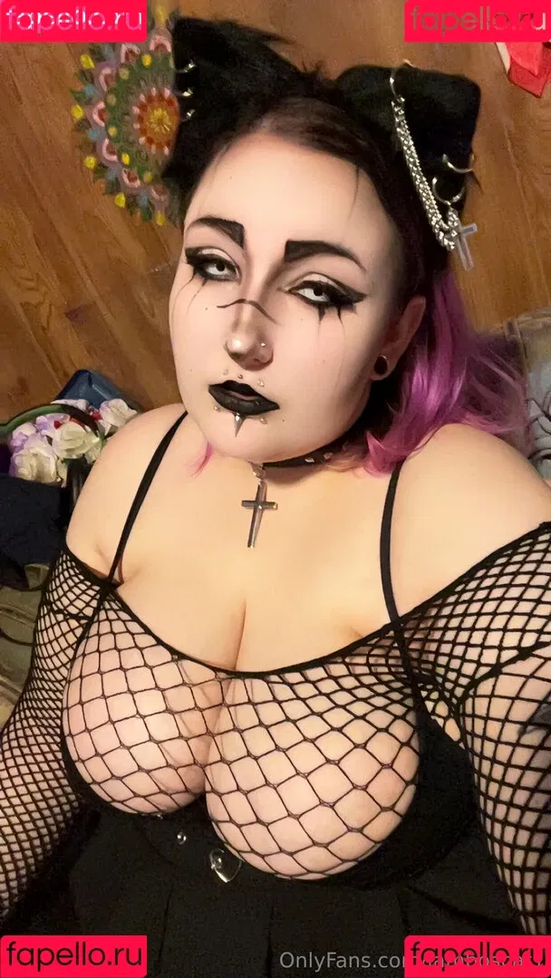 jamboscat1 Onlyfans Photo Gallery 