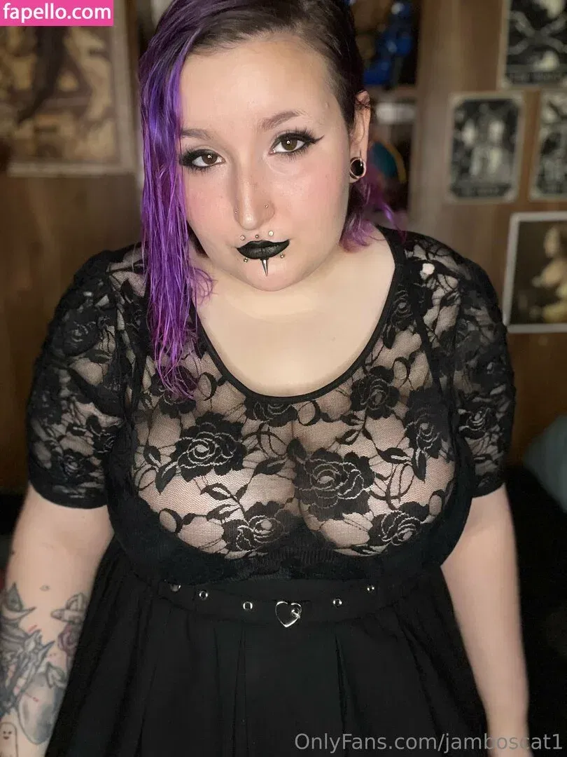 jamboscat1 Onlyfans Photo Gallery 