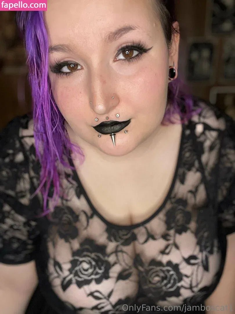 jamboscat1 Onlyfans Photo Gallery 