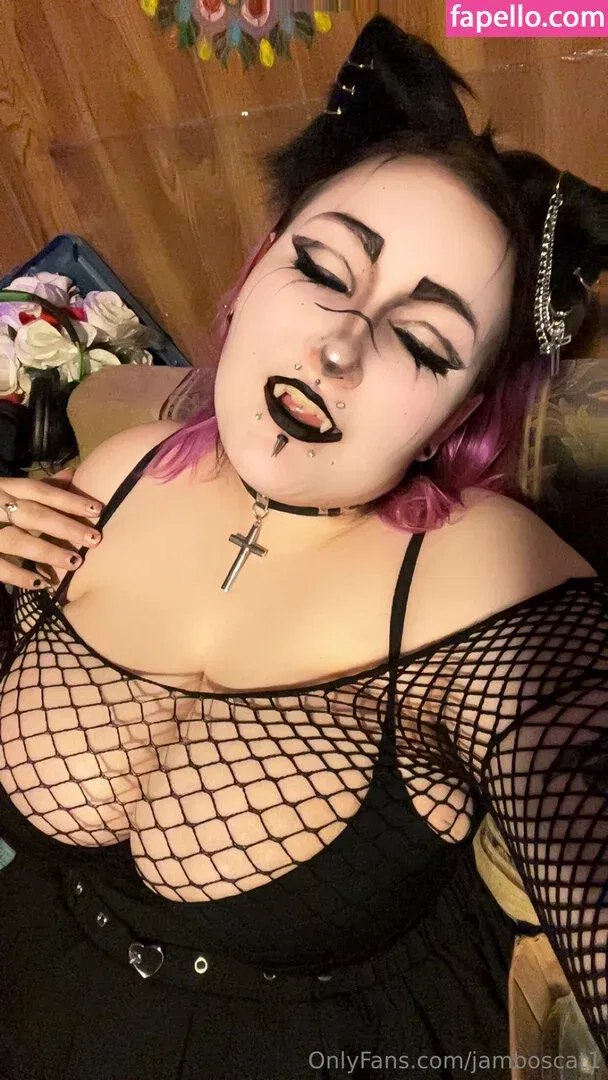 jamboscat1 Onlyfans Photo Gallery 