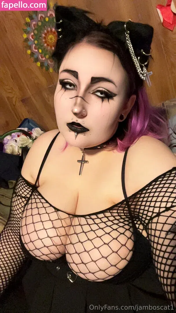 jamboscat1 Onlyfans Photo Gallery 