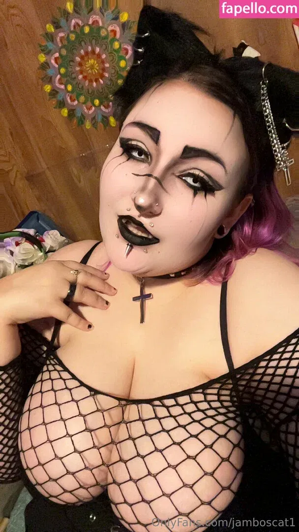 jamboscat1 Onlyfans Photo Gallery 