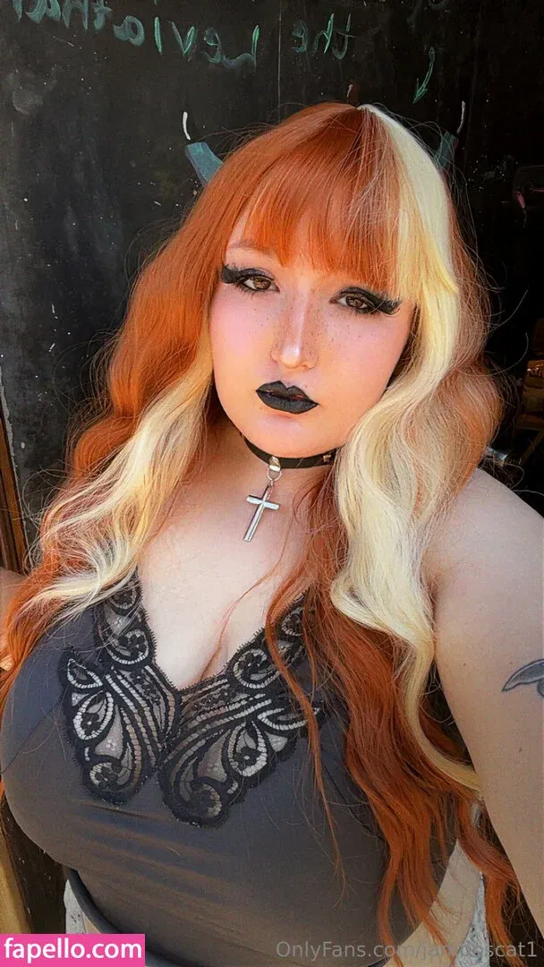 jamboscat1 Onlyfans Photo Gallery 