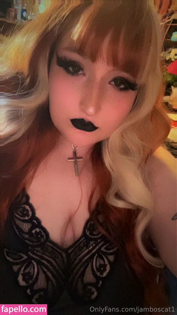 jamboscat1 Onlyfans Photo Gallery 