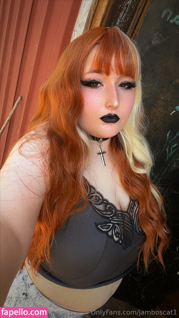 jamboscat1 Onlyfans Photo Gallery 