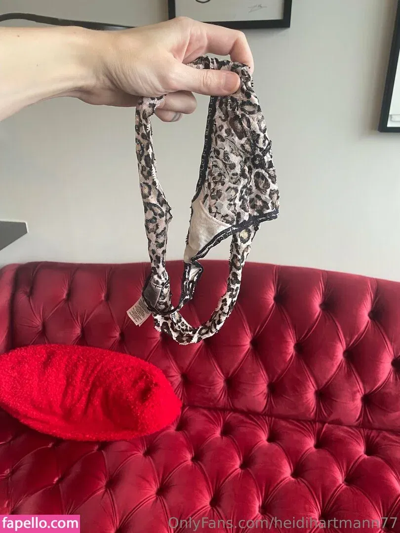 heidihartmann77 / hhartmanart Onlyfans Photo Gallery 