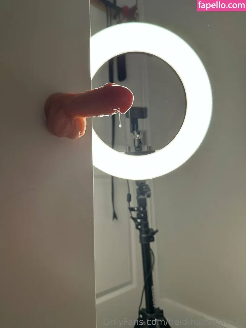 heidihartmann77 / hhartmanart Onlyfans Photo Gallery 