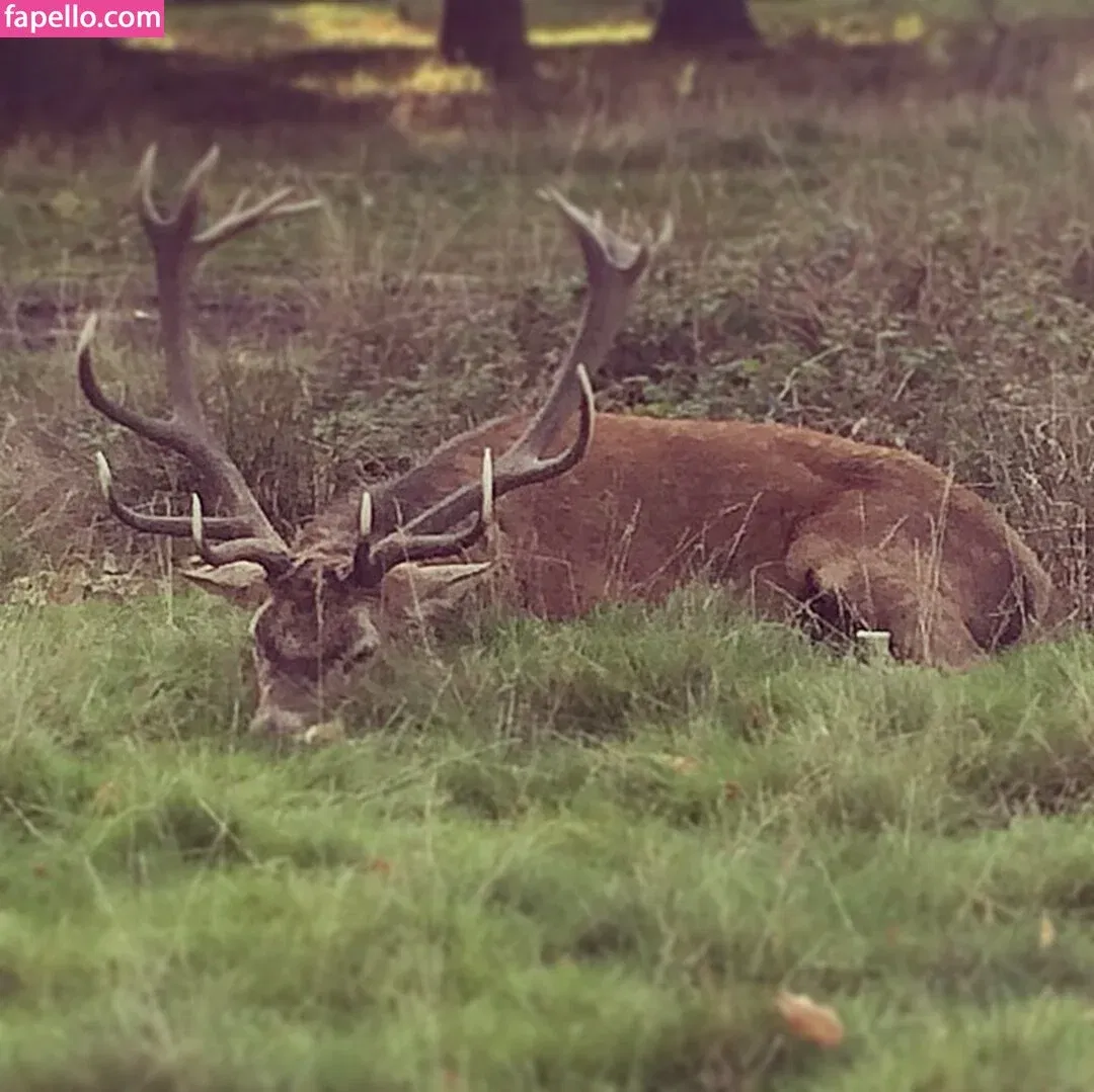 Kirsty Eccleston Onlyfans Photo Gallery 