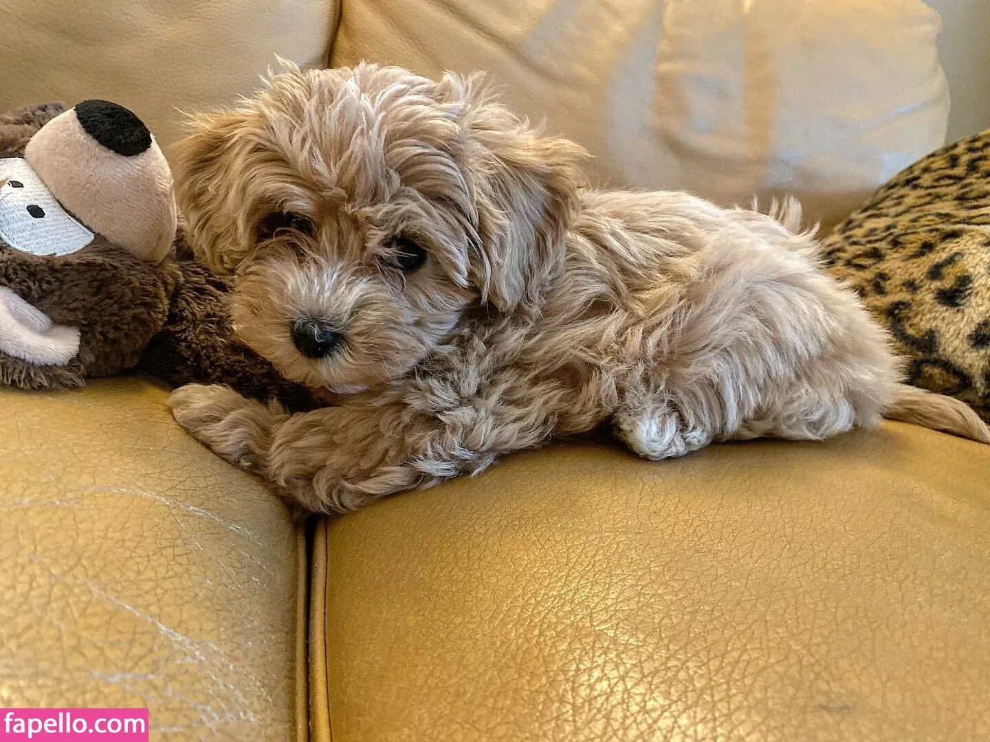 Kirsty Eccleston Onlyfans Photo Gallery 