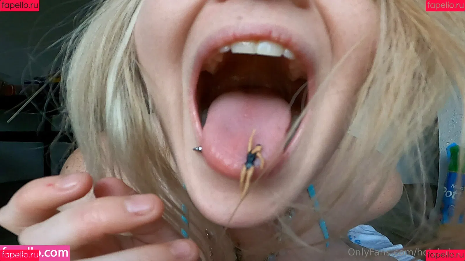 holykoley / luvurteeth Onlyfans Photo Gallery 