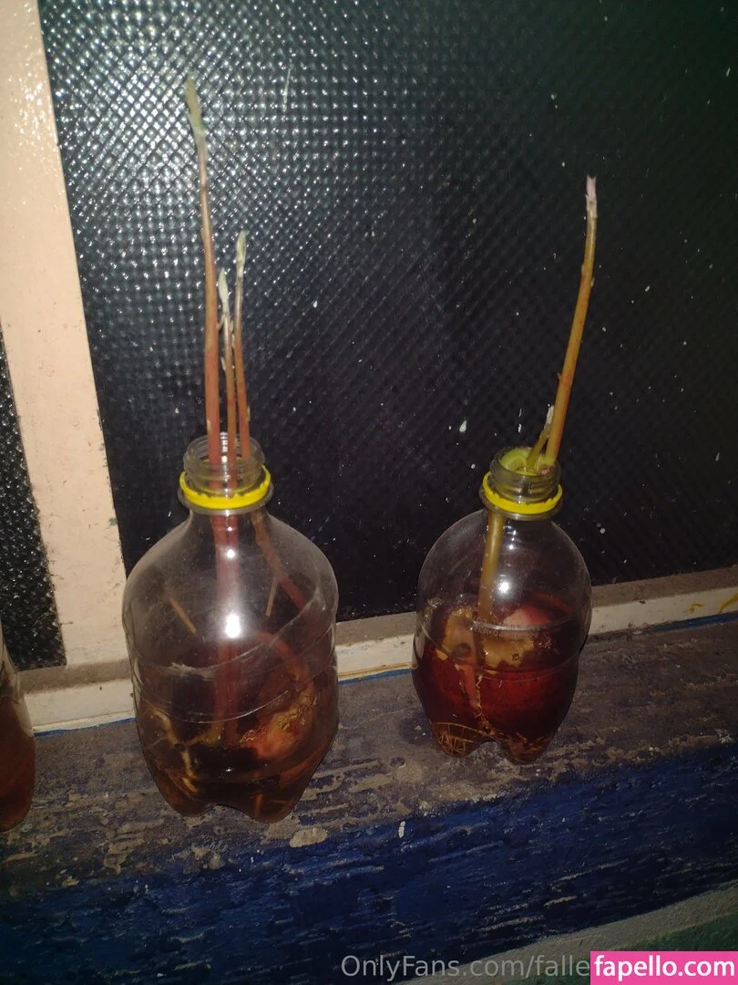 fallenmaster69 / fallenmoon13 Onlyfans Photo Gallery 