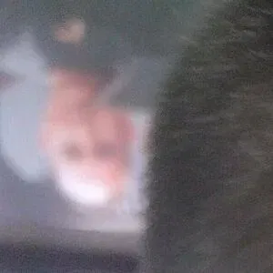 fallenmaster69 / fallenmoon13 Onlyfans Photo Gallery 