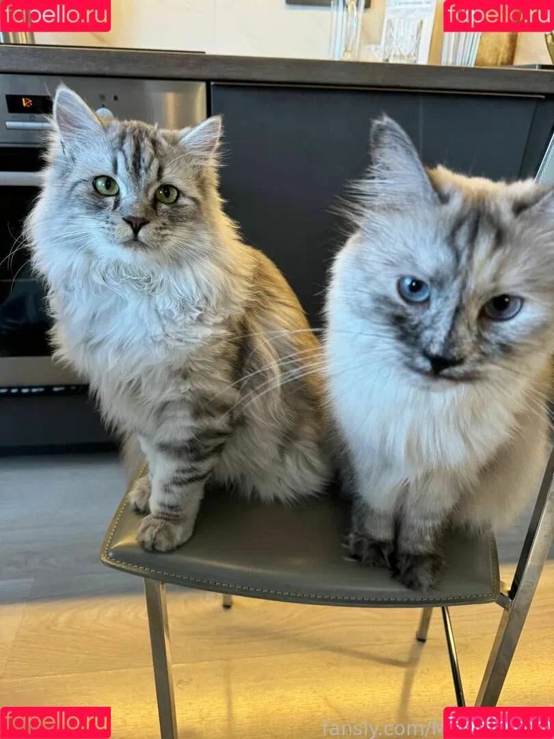 MonroCocos / https: / katrin.delice Onlyfans Photo Gallery 