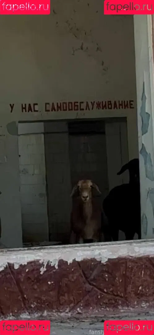 MonroCocos / https: / katrin.delice Onlyfans Photo Gallery 