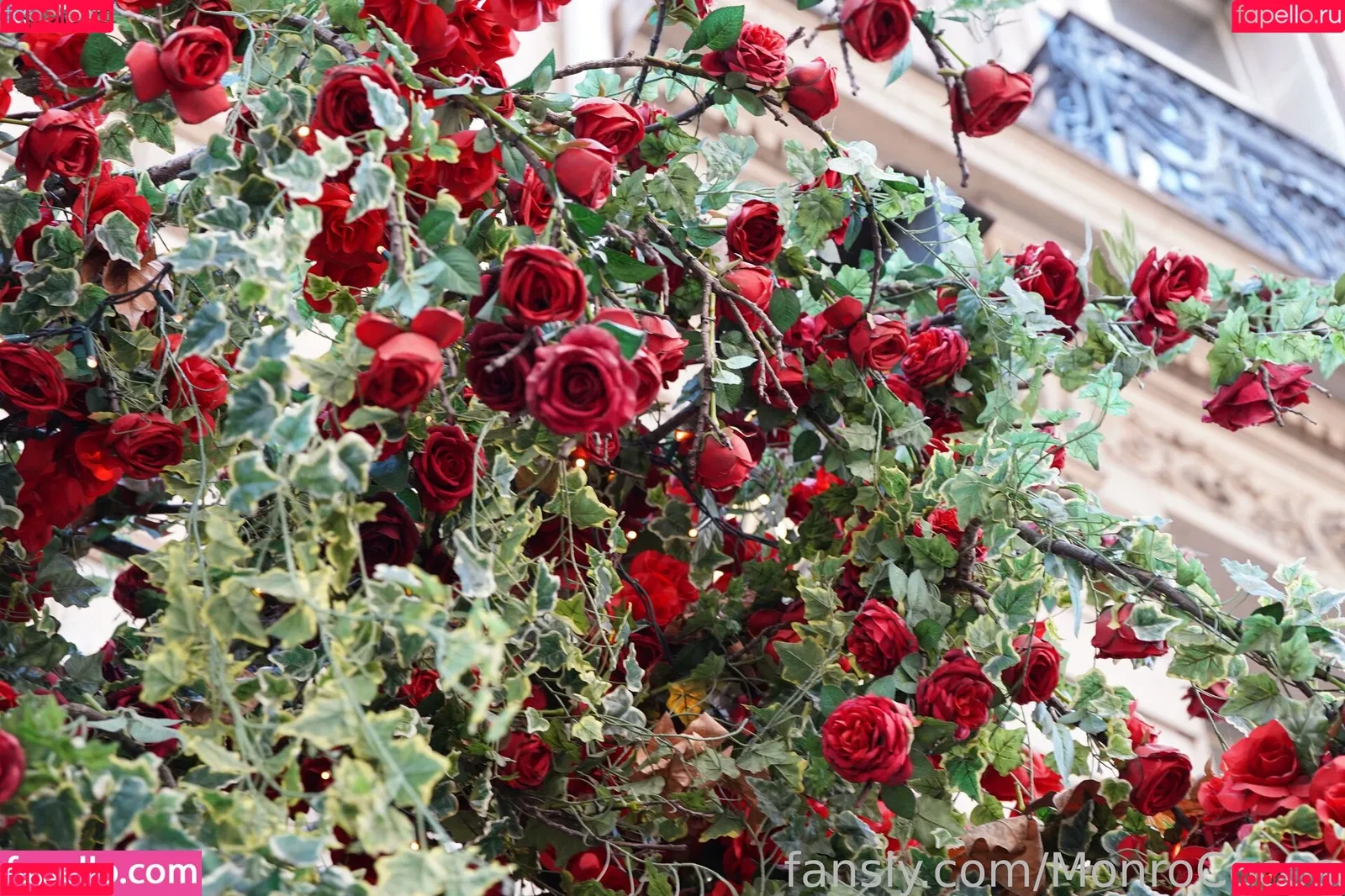 MonroCocos / https: / katrin.delice Onlyfans Photo Gallery 