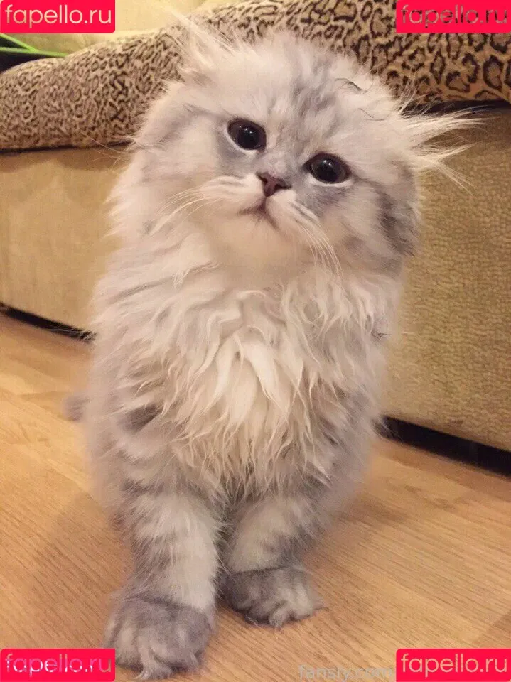 MonroCocos / https: / katrin.delice Onlyfans Photo Gallery 