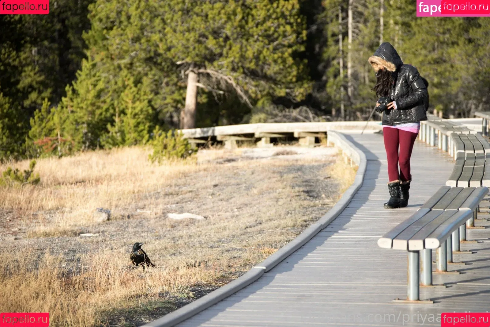 Priya Anjali Rai / priya_rai_xoxo / priyaanjalirai Onlyfans Photo Gallery 