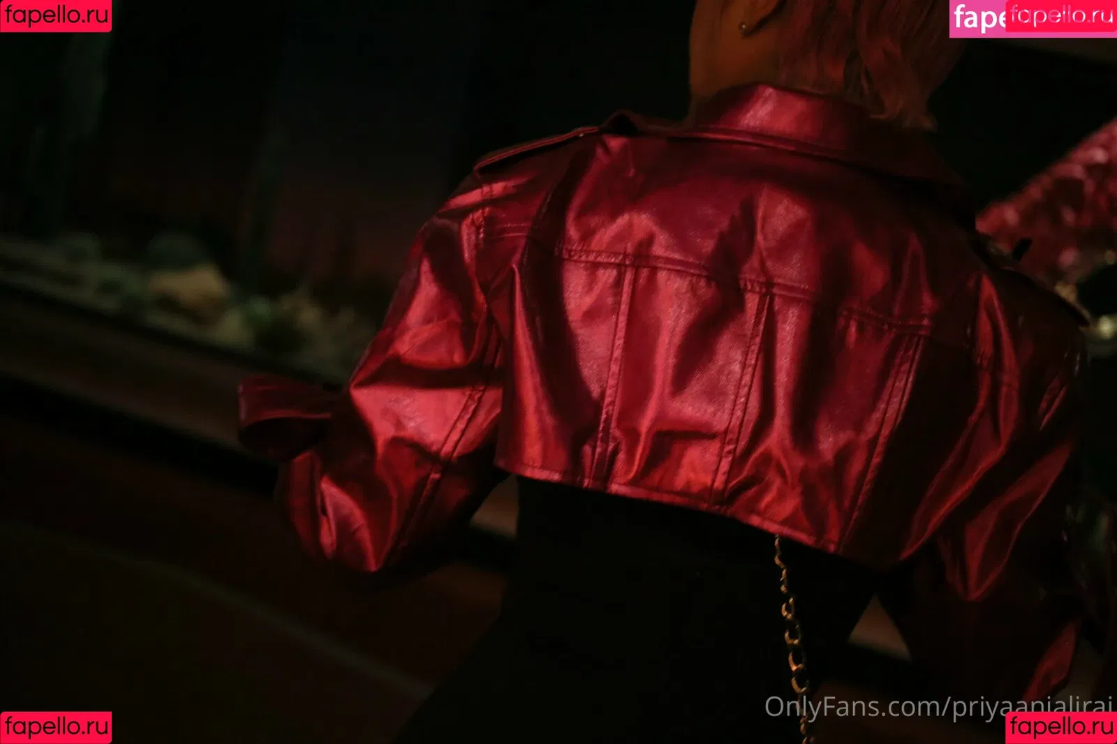 Priya Anjali Rai / priya_rai_xoxo / priyaanjalirai Onlyfans Photo Gallery 