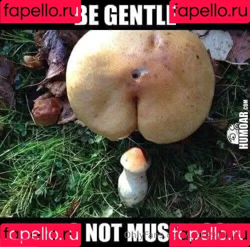 u213919435 / whyruivo Onlyfans Photo Gallery 