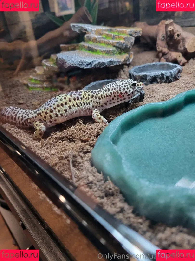 u213919435 / whyruivo Onlyfans Photo Gallery 