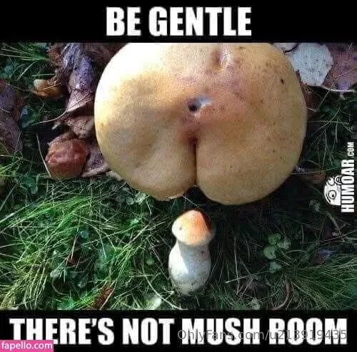 u213919435 / whyruivo Onlyfans Photo Gallery 