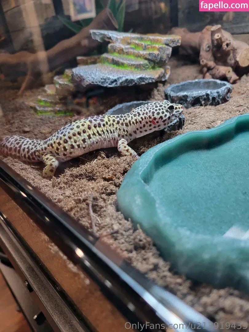 u213919435 / whyruivo Onlyfans Photo Gallery 