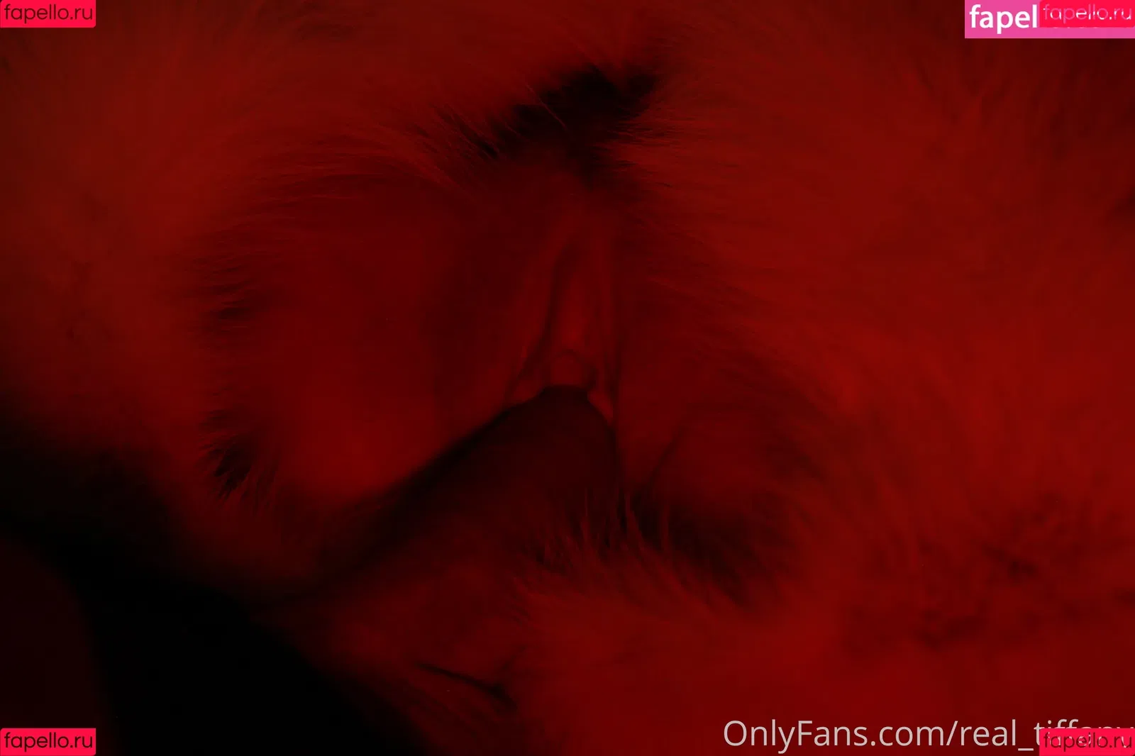 Tiffany Tatum / real_tiffany / real_tiffanytatum Onlyfans Photo Gallery 