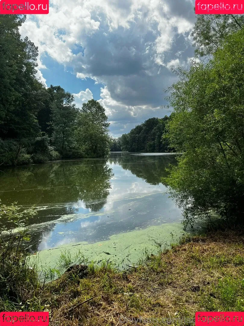 laceyfree / laceylanefree Onlyfans Photo Gallery 