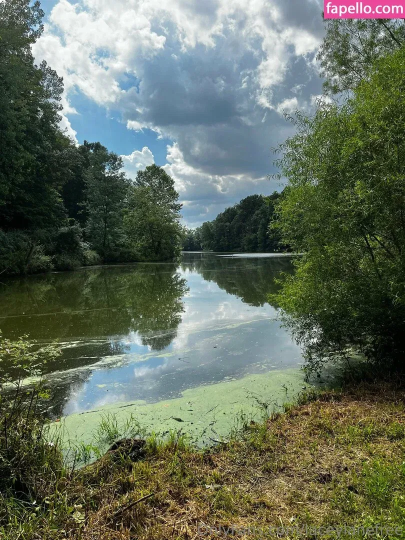 laceyfree / laceylanefree Onlyfans Photo Gallery 