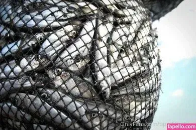 tipsykittyfree Onlyfans Photo Gallery 