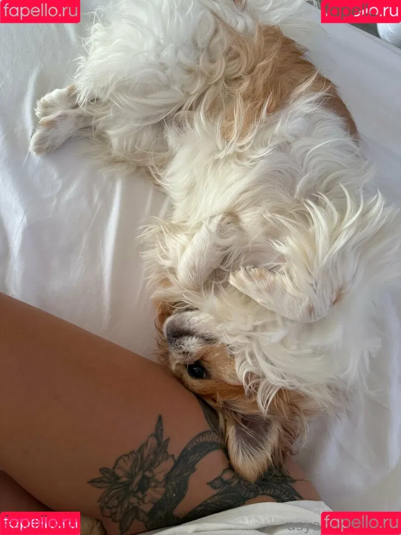 asyabunny / asyabunny__ Onlyfans Photo Gallery 