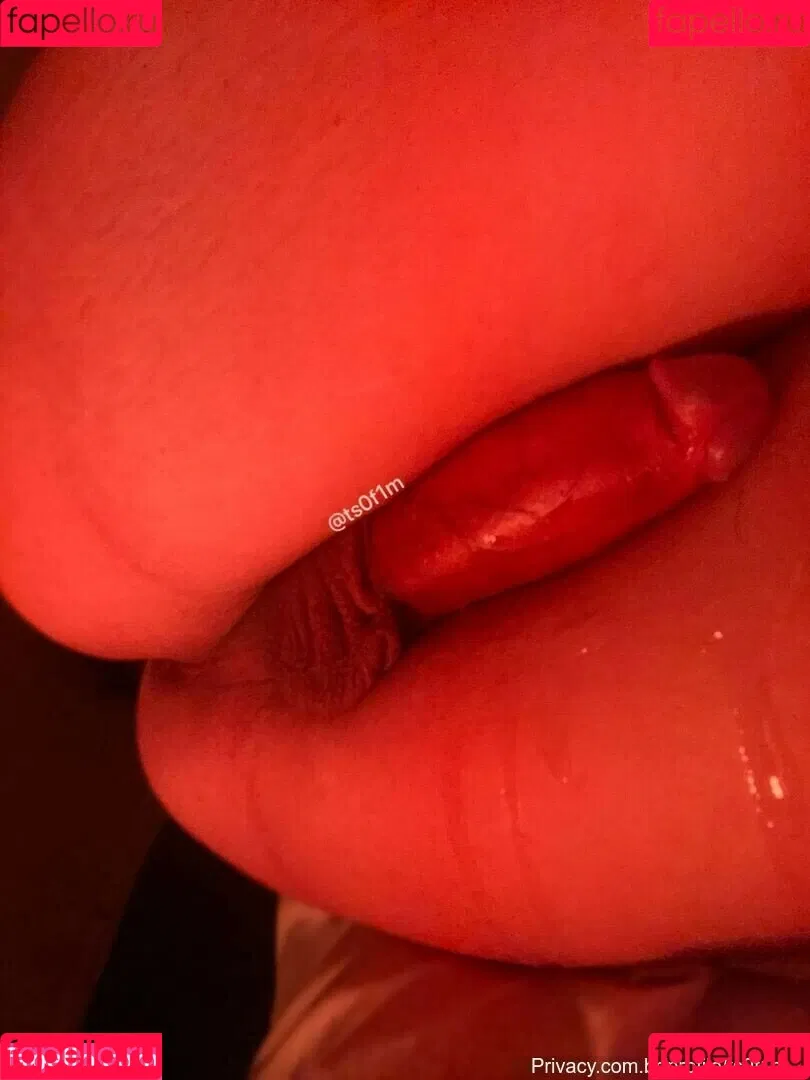 Bruna / ts0f1m / ts0f1m_ Onlyfans Photo Gallery 