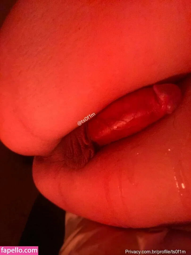 Bruna / ts0f1m / ts0f1m_ Onlyfans Photo Gallery 