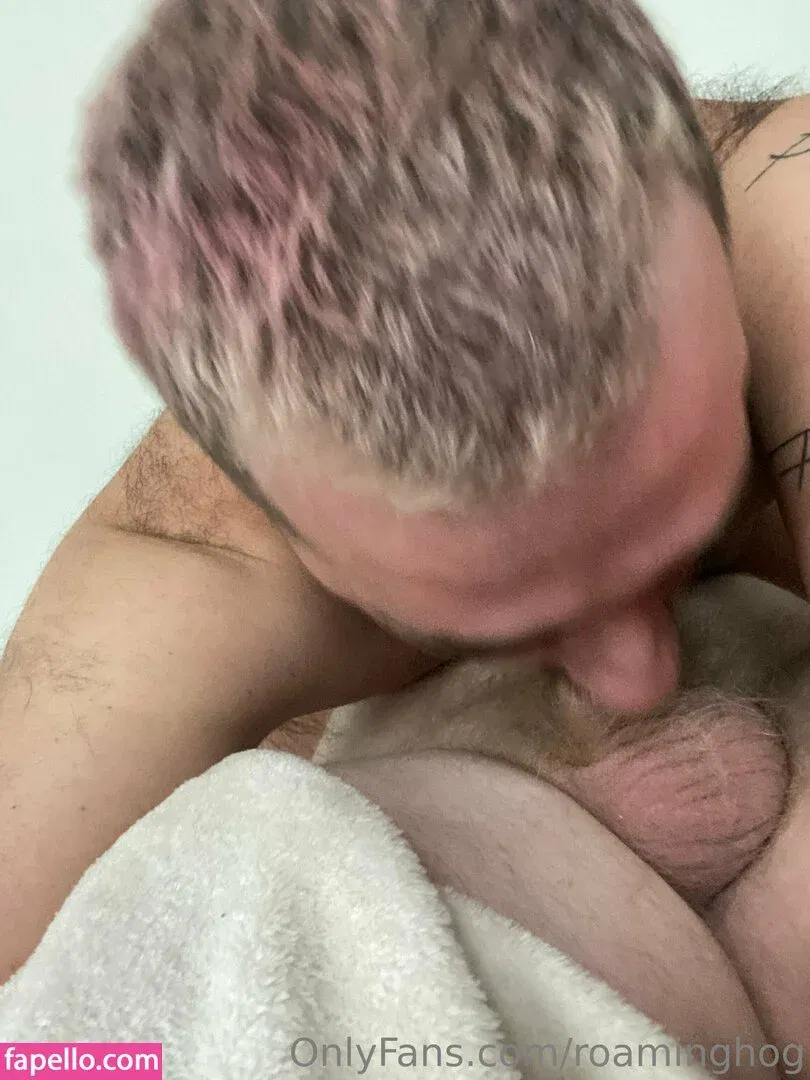 roaminghog / theroaminghog Onlyfans Photo Gallery 