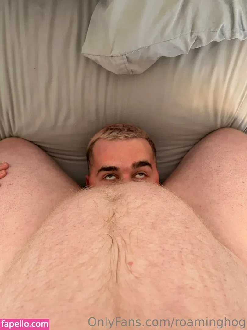 roaminghog / theroaminghog Onlyfans Photo Gallery 