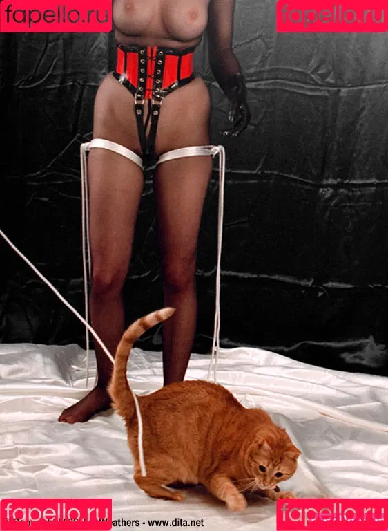 Dita Von Teese / Ditavonteese / creepy___spice Onlyfans Photo Gallery 