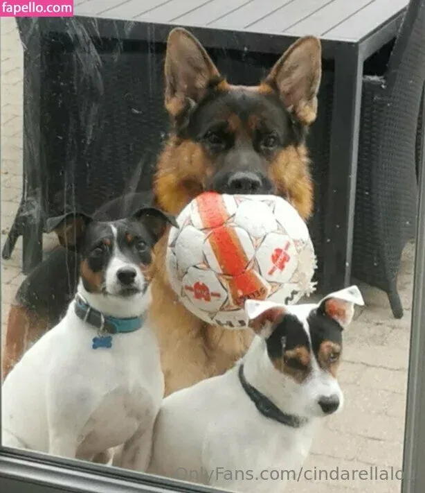 cindarellaa__ / cindarellalou Onlyfans Photo Gallery 