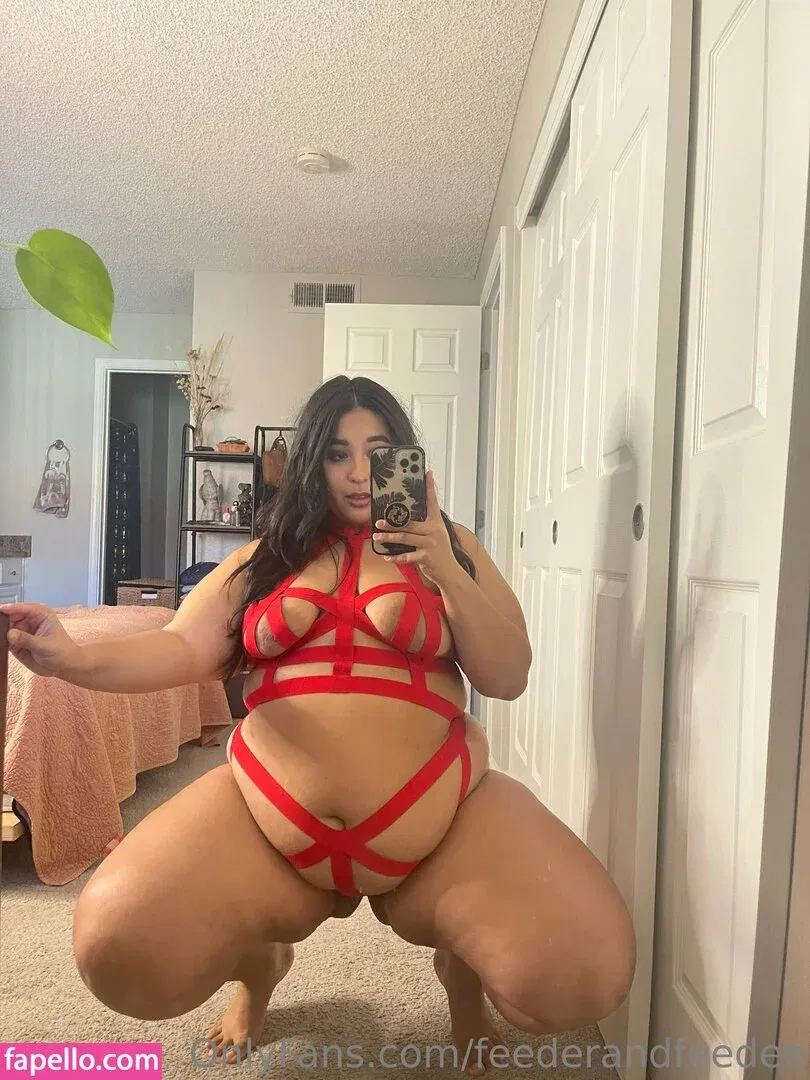 feederandfeedee / i_love_feederism Onlyfans Photo Gallery 