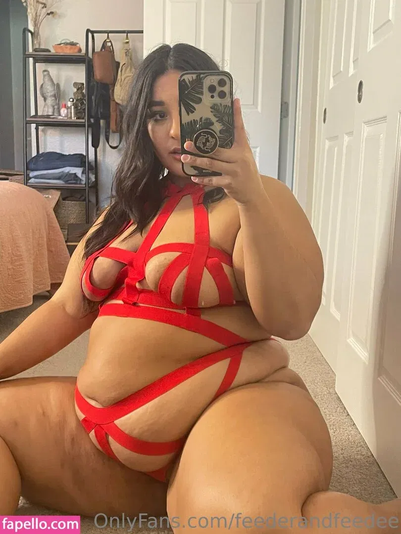 feederandfeedee / i_love_feederism Onlyfans Photo Gallery 