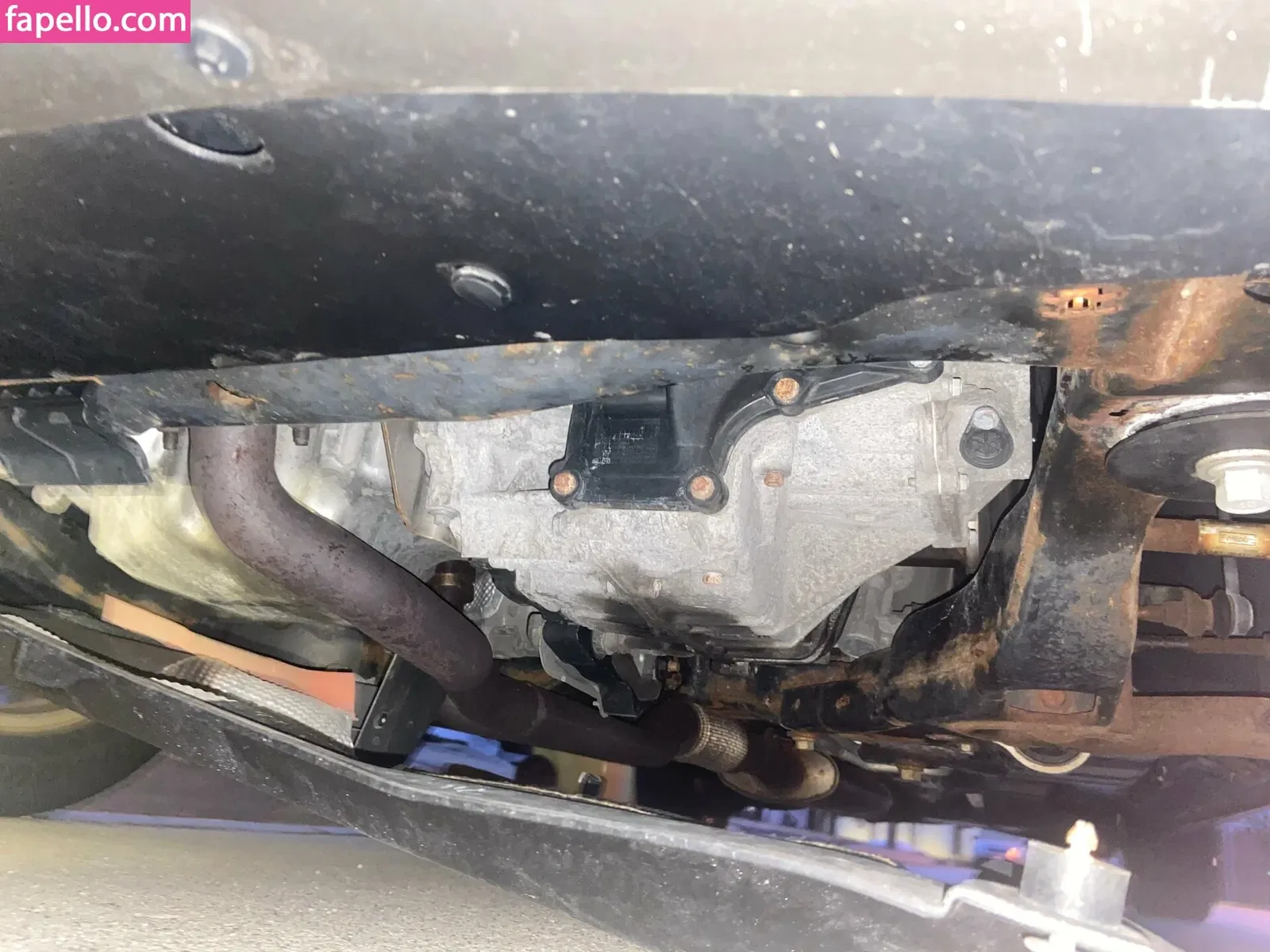 rachel000 Onlyfans Photo Gallery 