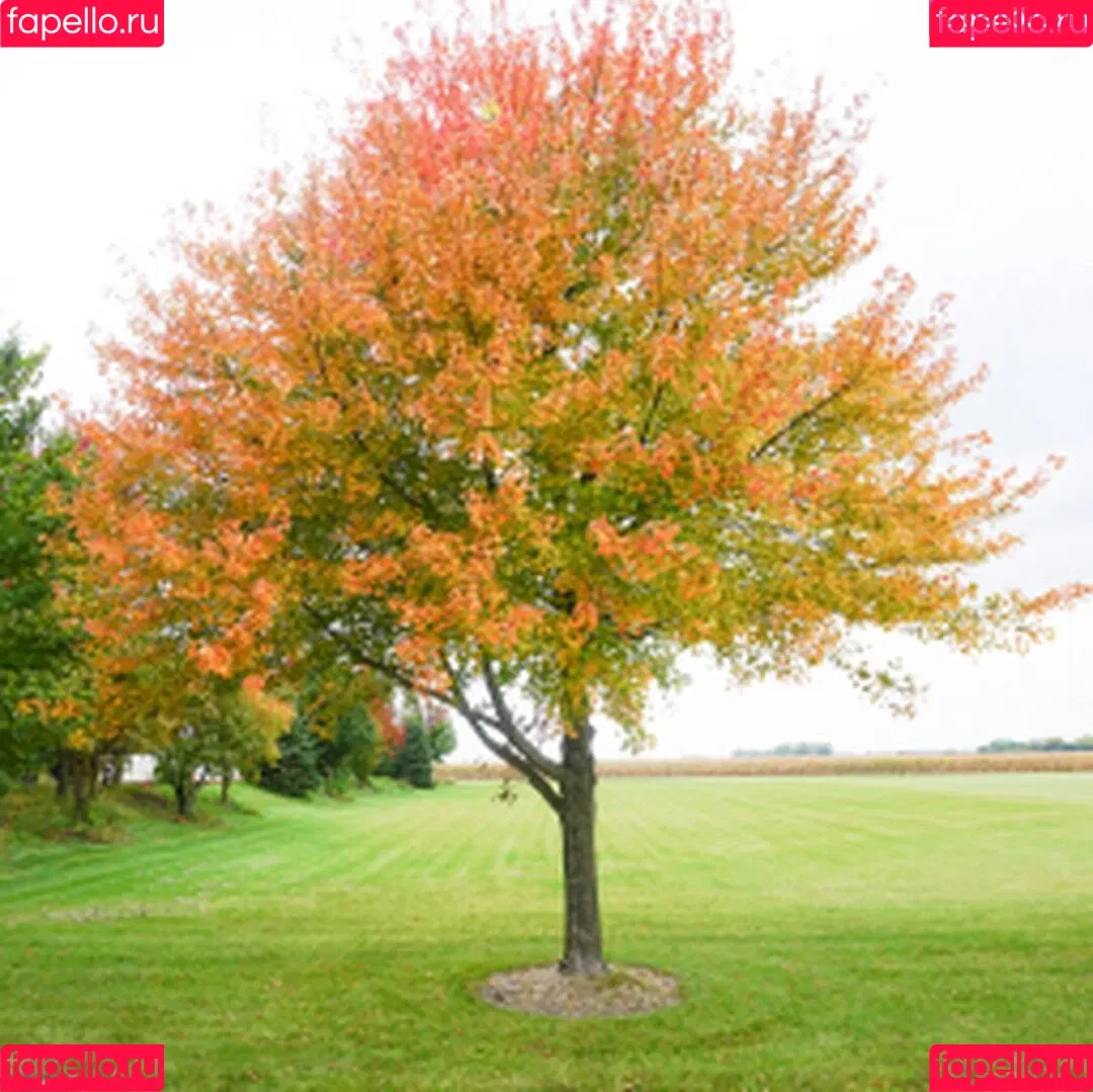 Meet Madden / maddendeegan / meet.madden_ Onlyfans Photo Gallery 