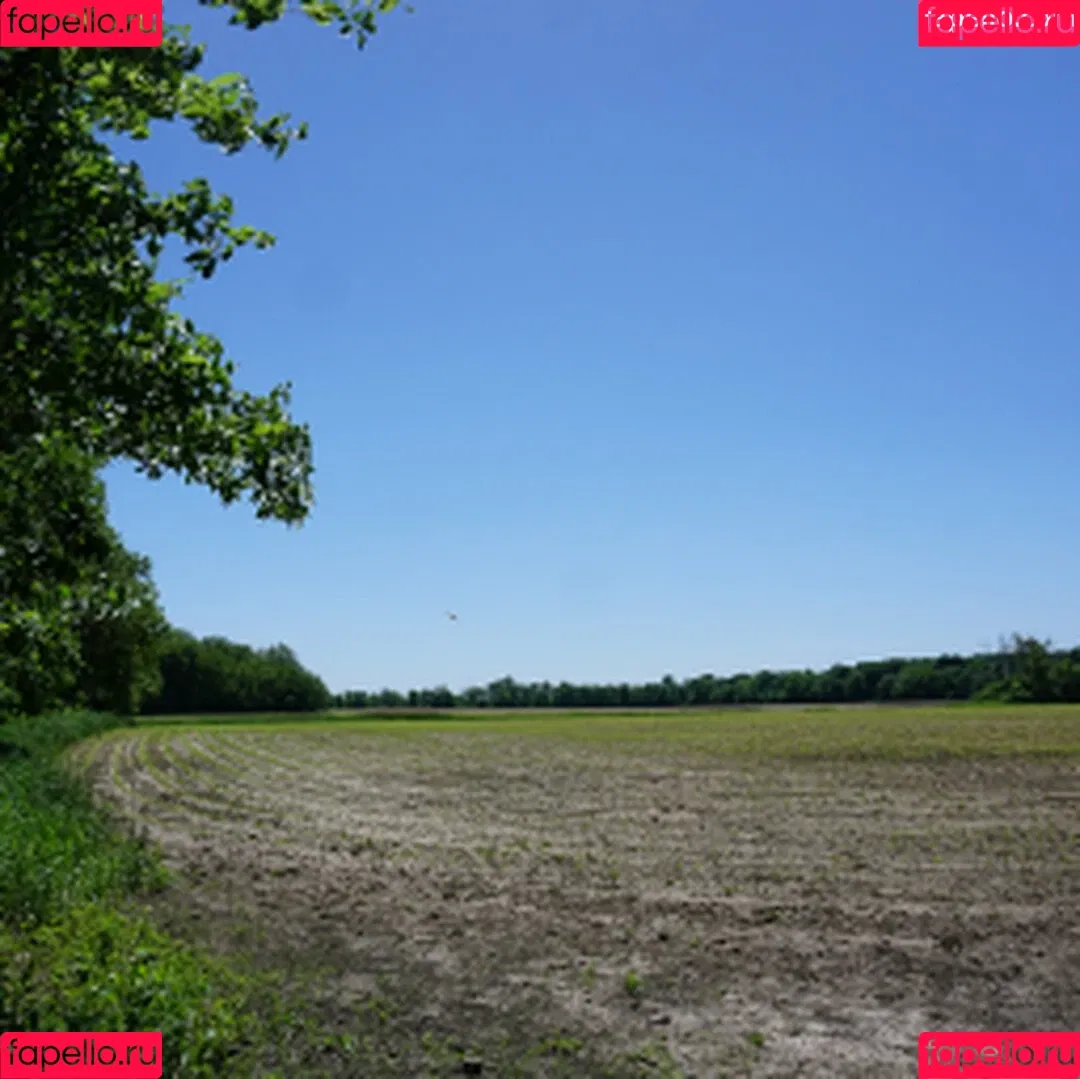 Meet Madden / maddendeegan / meet.madden_ Onlyfans Photo Gallery 