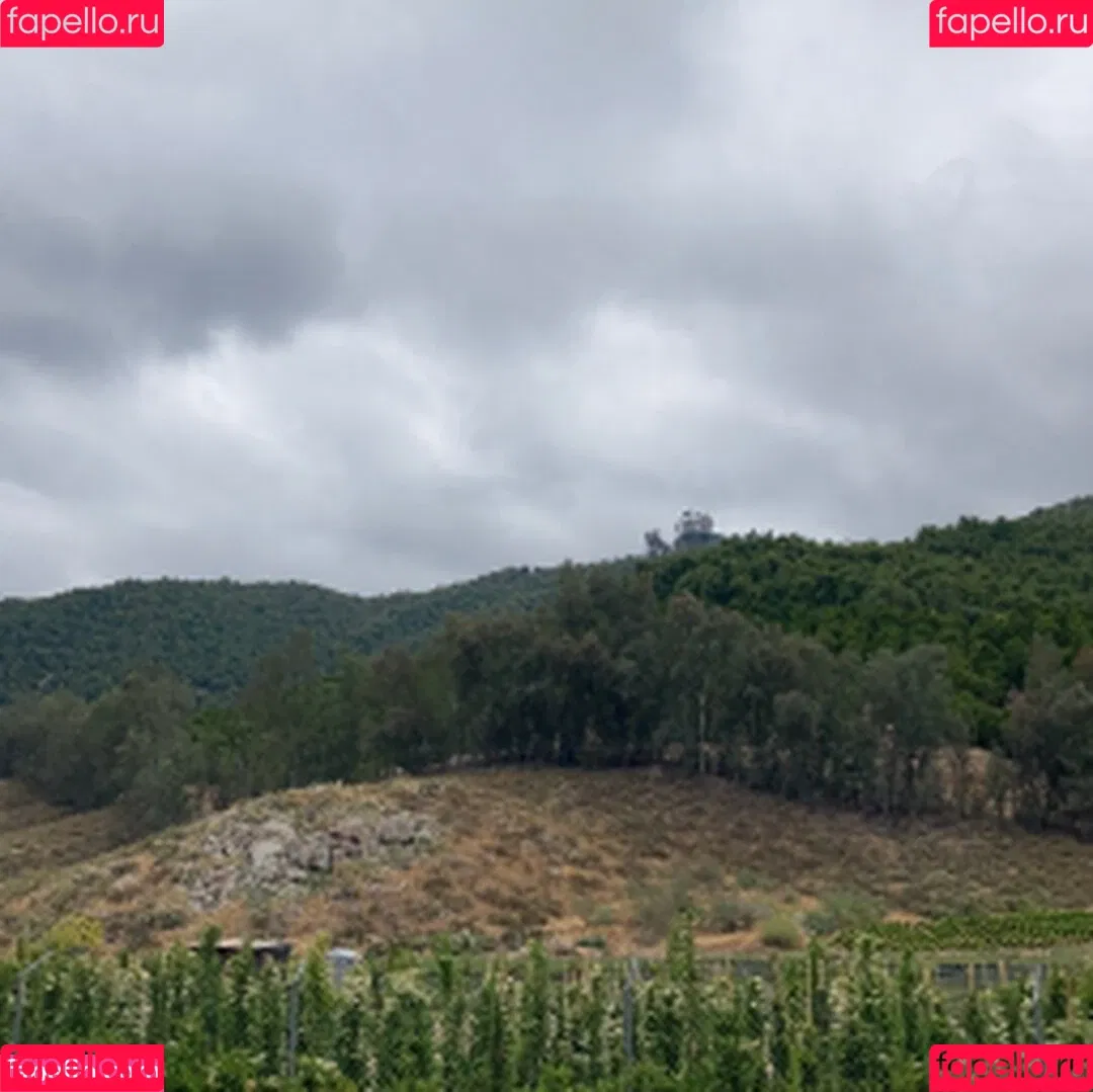 Meet Madden / maddendeegan / meet.madden_ Onlyfans Photo Gallery 