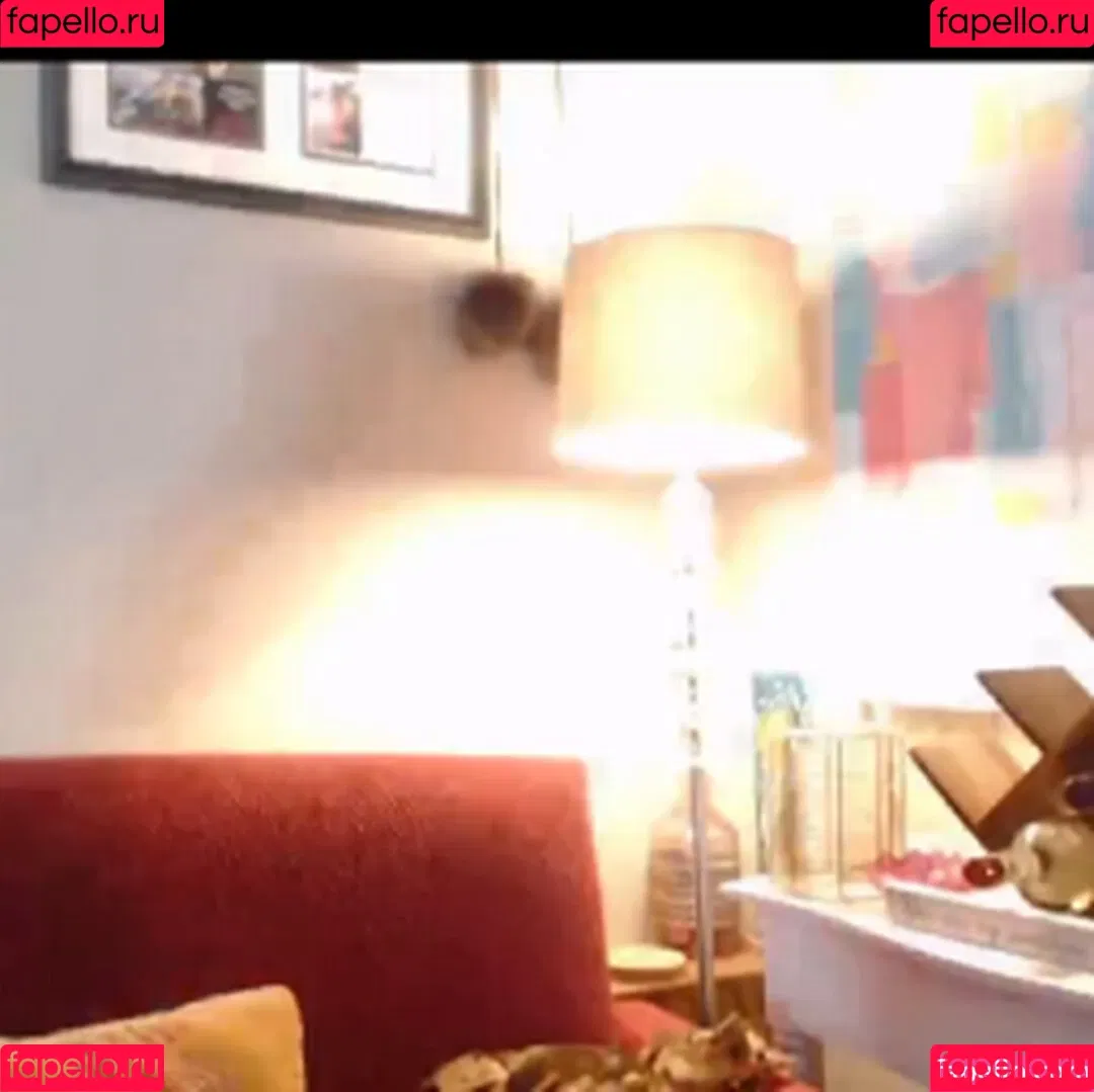 Meet Madden / maddendeegan / meet.madden_ Onlyfans Photo Gallery 