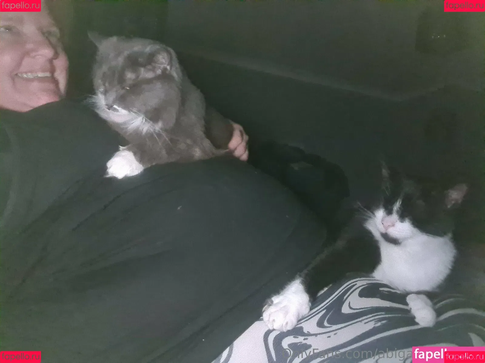 abigail_barry_1 / abigailbarrybbw Onlyfans Photo Gallery 