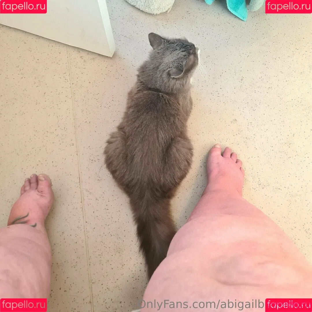 abigail_barry_1 / abigailbarrybbw Onlyfans Photo Gallery 