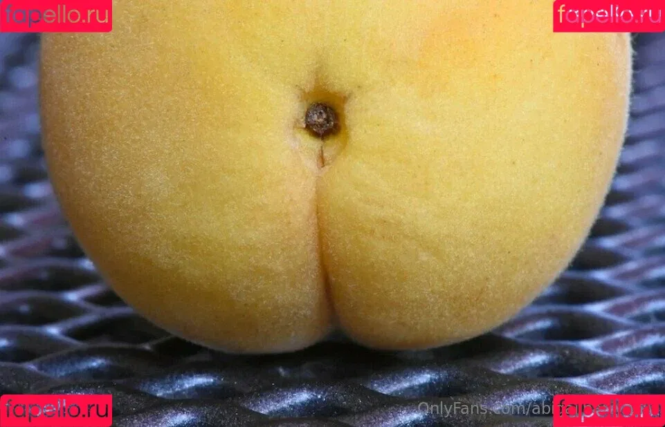 abigail_barry_1 / abigailbarrybbw Onlyfans Photo Gallery 