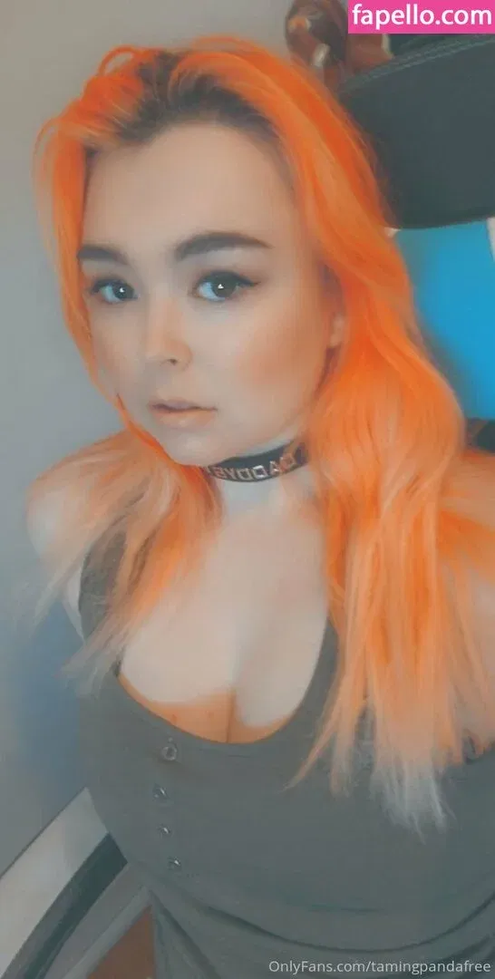 bbysarita / tamingpandafree Onlyfans Photo Gallery 