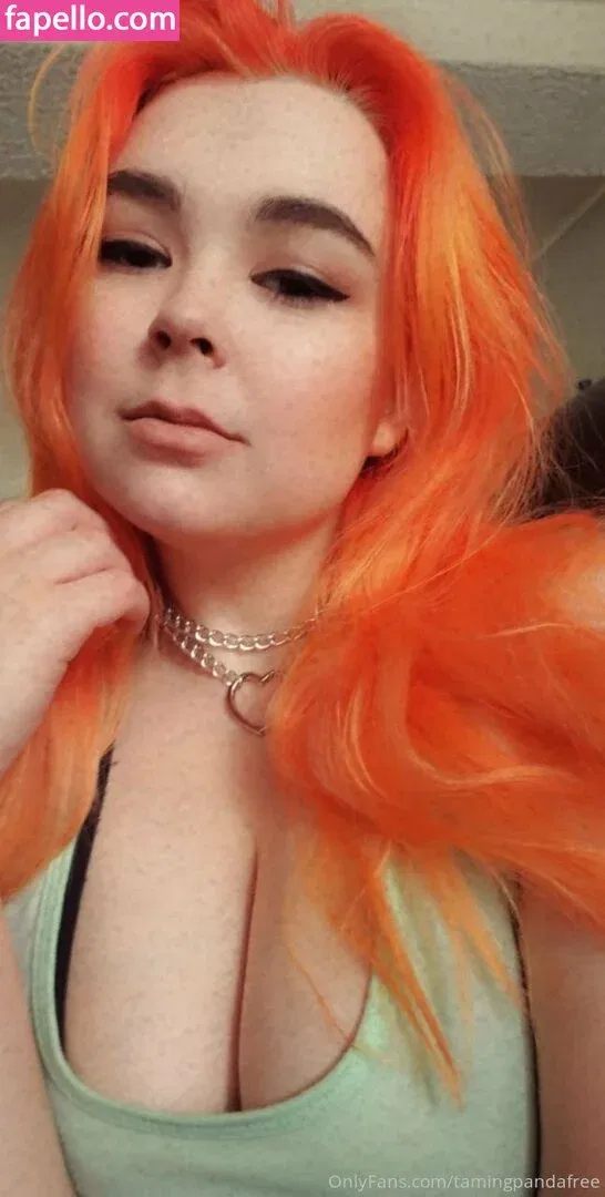 bbysarita / tamingpandafree Onlyfans Photo Gallery 